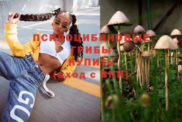 гидропоника Алзамай
