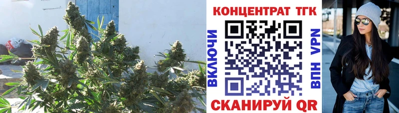 ТГК гашишное масло  как найти закладки  Ачхой-Мартан 